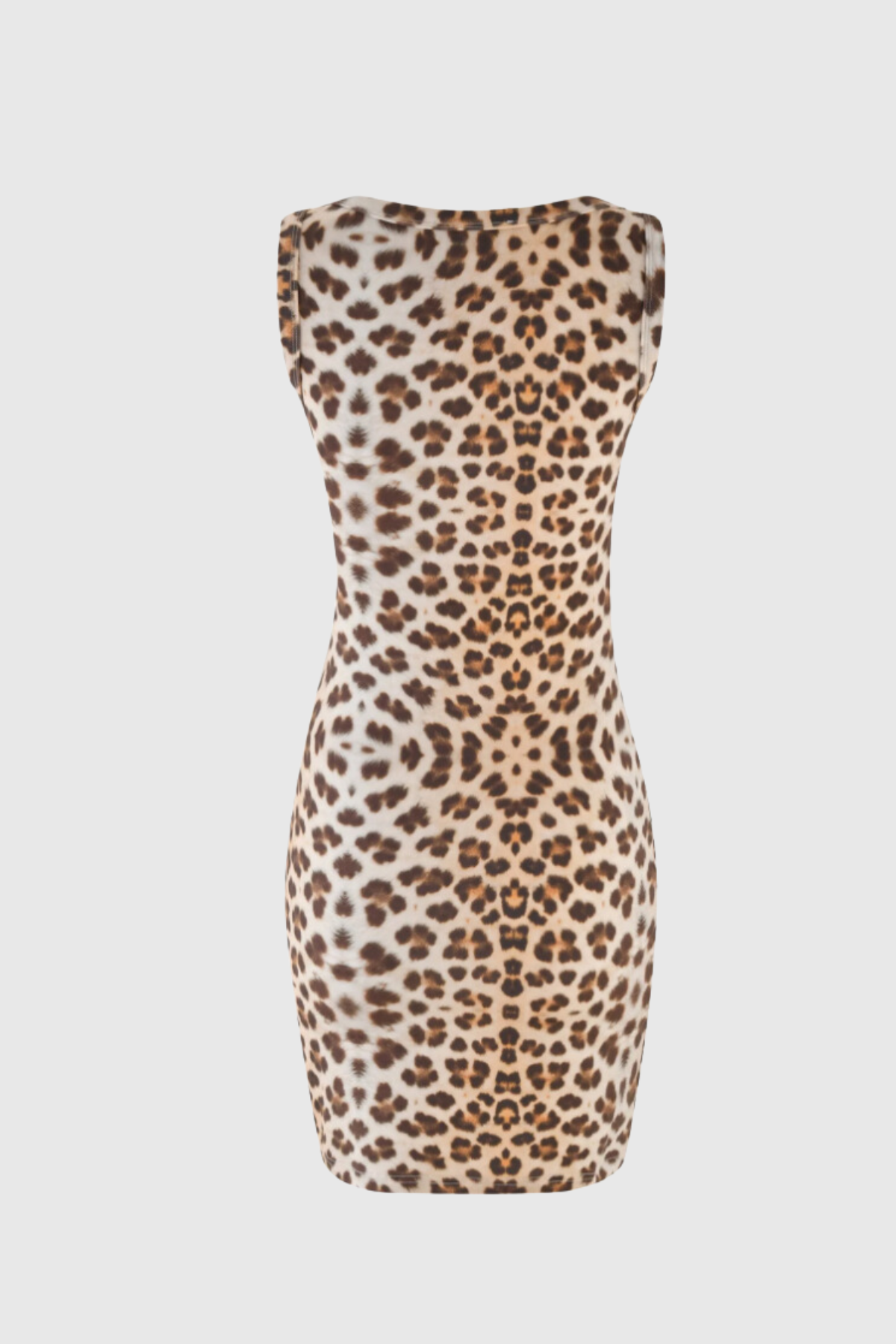 Alvarado Lace Leopard Sleeveless Mini Dress