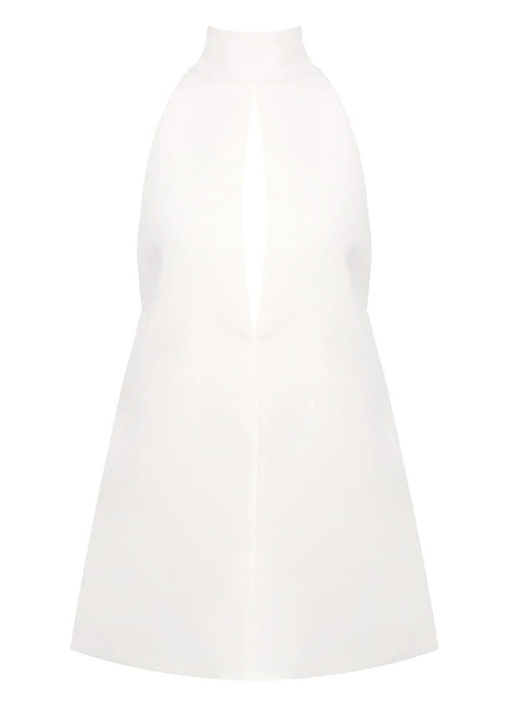 Elkanah Sleeveless Cutout Mini Dress