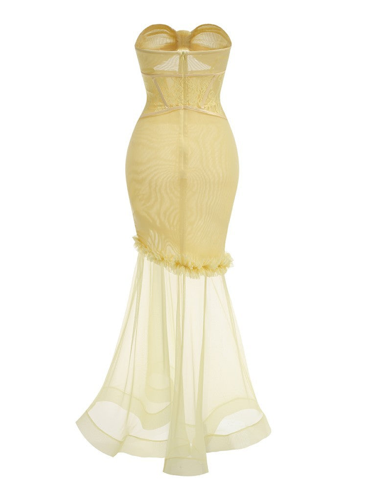 Blanche Cutout Mesh Corset Maxi Dress