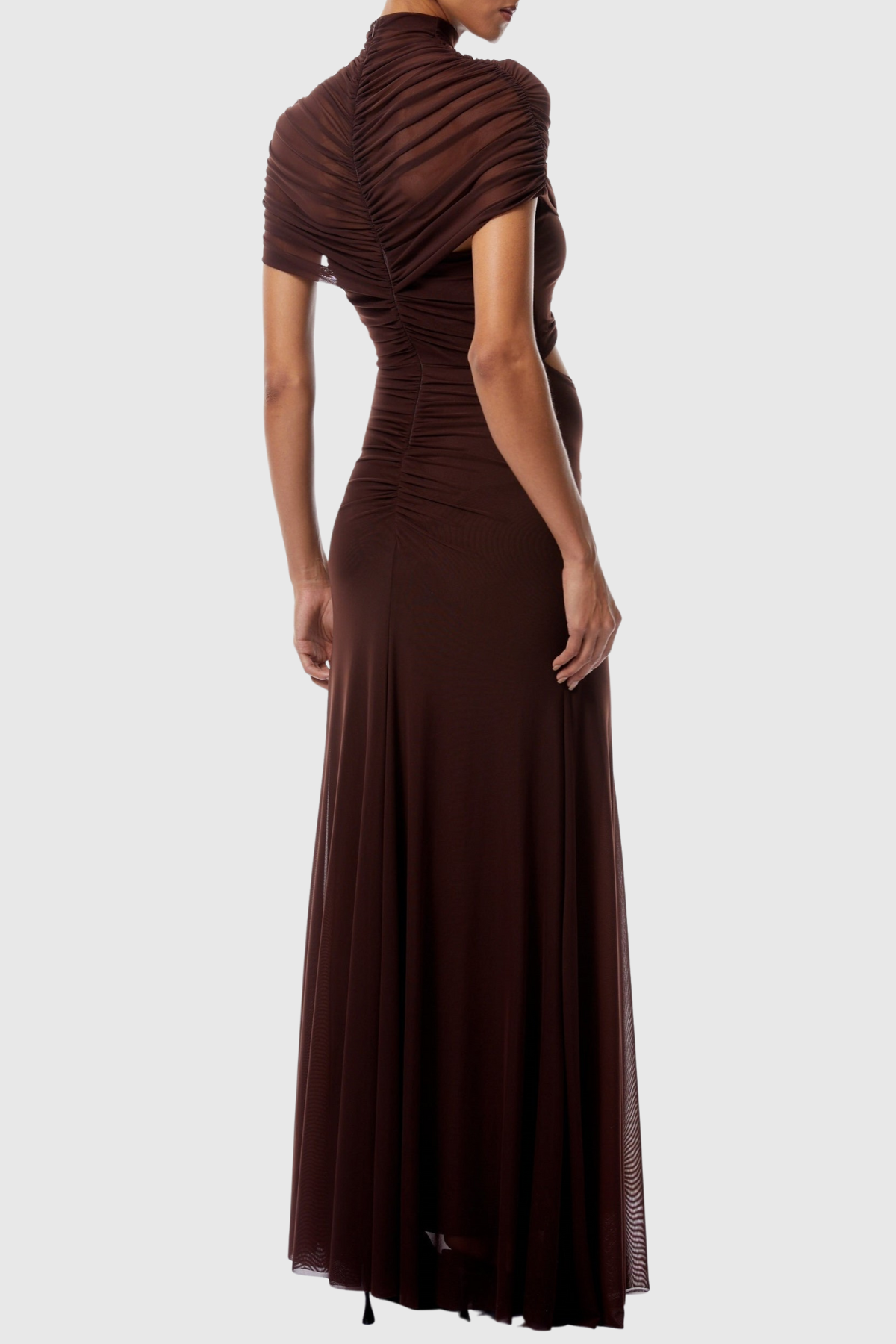 Dushyanta Ruch Cutout Mesh Maxi Dress In Browm