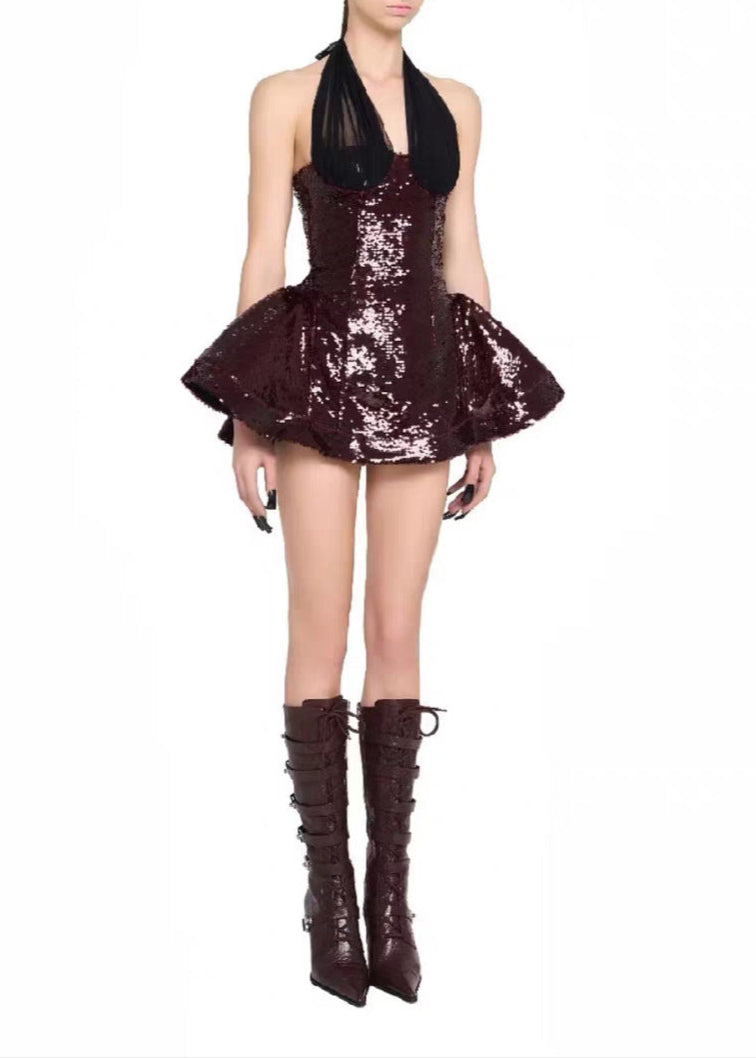 Bidane Sequin Mesh Mini Dress