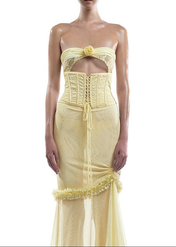 Blanche Cutout Mesh Corset Maxi Dress