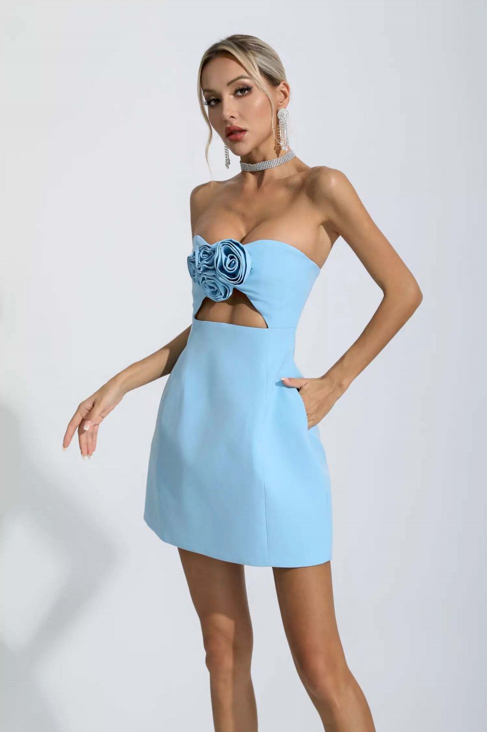 Barabal Strapless Rose Mini Dress