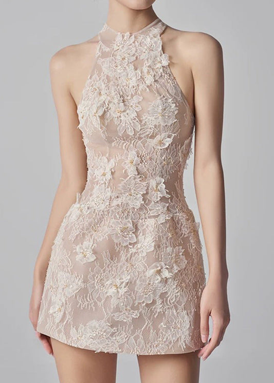 Gabrieli Flower Lace Mini Dress In Apricot