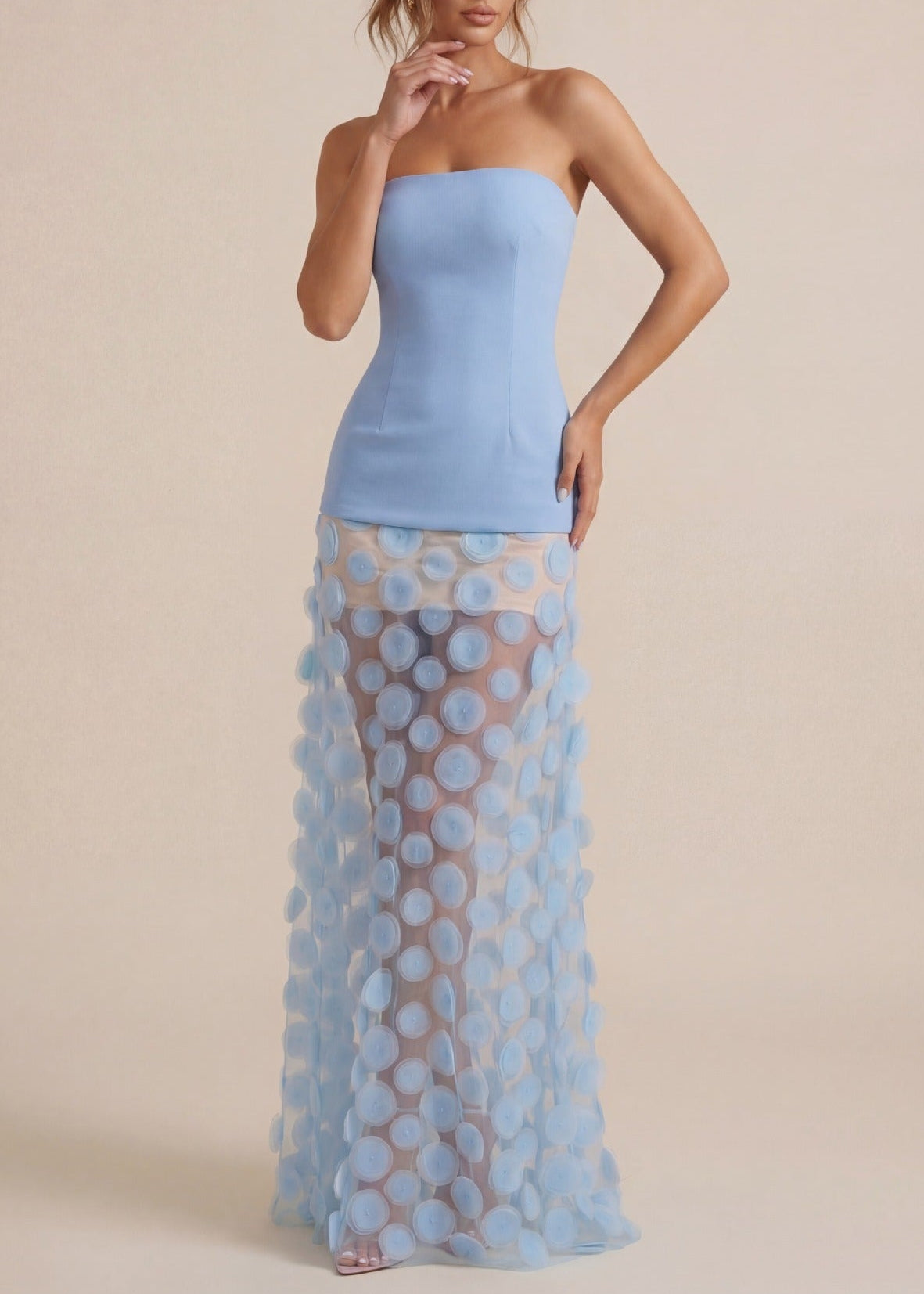 Boyan Strapless Dot Mesh Maxi Dress In Blue
